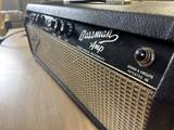 Fender Bassman (1966) - foto 5